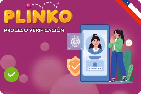 Proceso de verificación